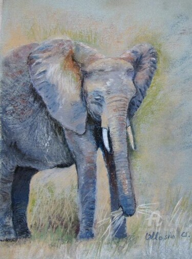Elephant de Tanzanie